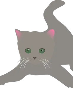 Hills Science Plan Feline Healthy Development Tuna 2kg Dry