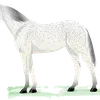 Milbemax Cat