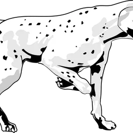 Puppia