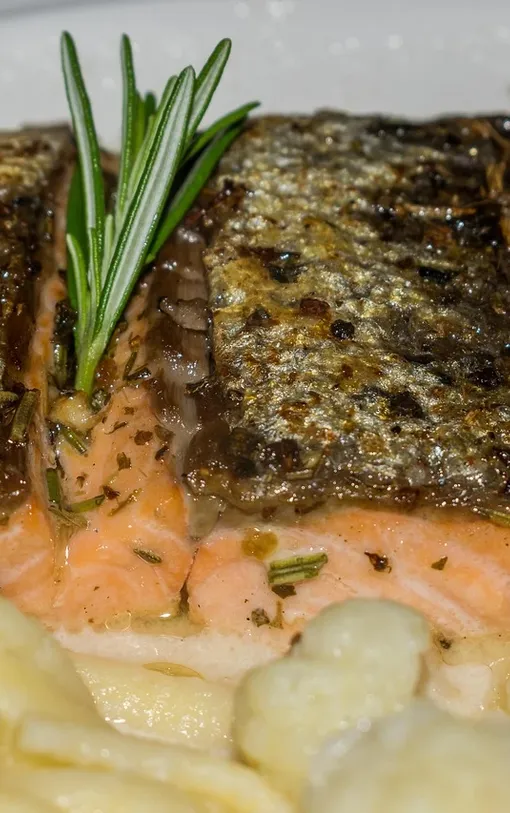 Weruva Jammin Salmon For Dogs 1 Weruva Jammin Salmon For Dogs