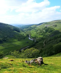 ACANA Yorkshire Pork