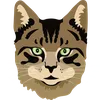 Hills Science Plan Feline Healthy Development Chicken Dry
