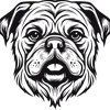 ROYAL CANIN Labrador Retriever Adult 12kg 1