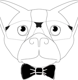 Dapper Pet Bow Tie Floral 2
