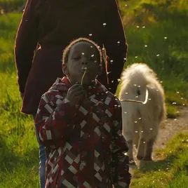 Dog Walking