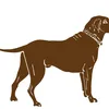 ROYAL CANIN Pug Adult