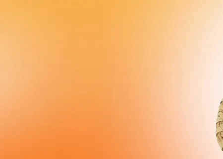Food, Meds and Beds Mobile Banner