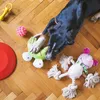 Dog Treats