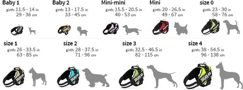 pet products